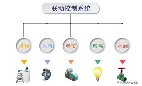 湖南溫室大棚智能管理系統(tǒng),自動(dòng)化集成系統(tǒng),溫室環(huán)境采集系統(tǒng)